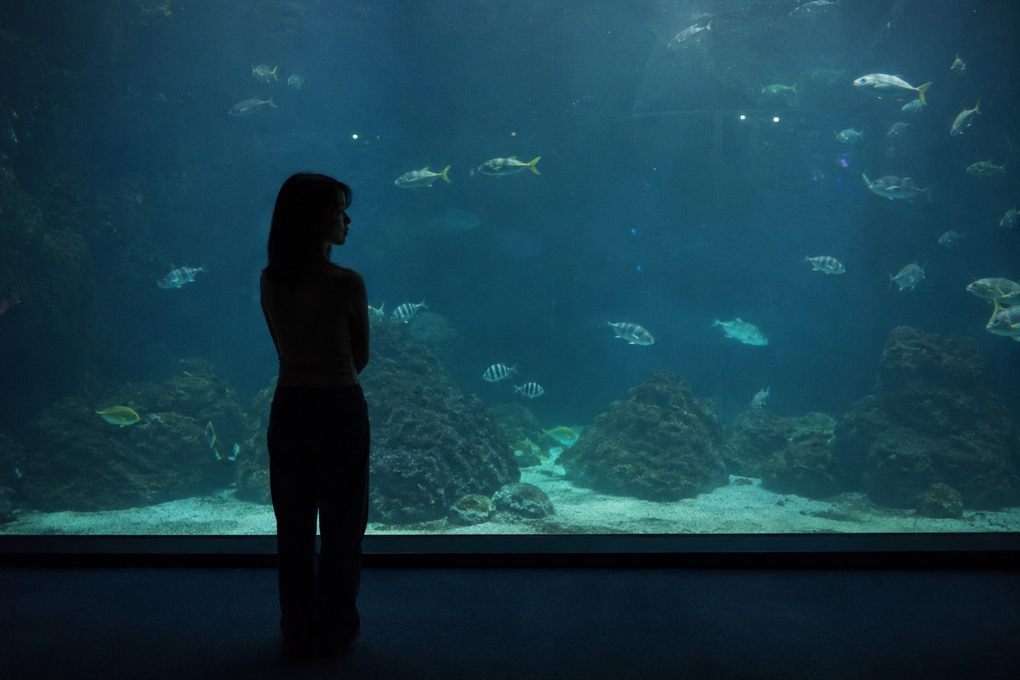 Mia stands in silhouette before a vast aquarium filled with fish.